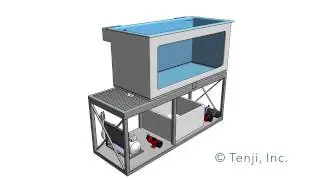 Aquarium and LSS Design