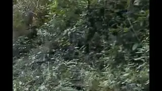 prueba de fe subida de maxicapa