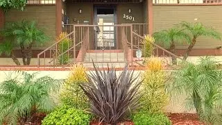 2501 Temple 1 mls