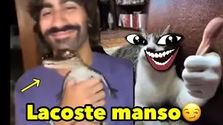 MEMES ANIMAIS - ELE NÃO ESPERAVA POR ISSO KKKKK