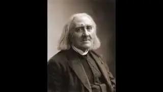 Fabio Bidini plays Liszt: Totentanz