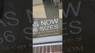 Dead malls Bras in 86 sizes