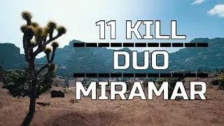 11 Kill PUBG DUO