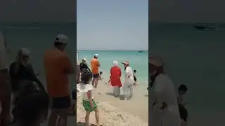 Beach Walk 🧡💯🏝️ IRAN KISH ISLAND People, Sea & Fun + Happy Music #shorts | KishWalk