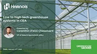 Redefining the standards of CEA: From Low-Tech to High-Tech Greenhouses | Harnois Greenhouses