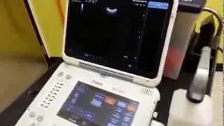 Dr. Marty Henderson of SonoVet walks you through the video clip save functions on his MyLabAlpha.
