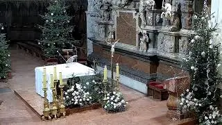Transmisja z Katedry Tarnowskiej