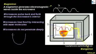 Experiment Demonstrating Stationary Waves Using Microwaves, Physics Lecture | Sabaq.pk