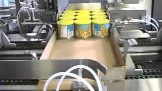 ARPAC's EL-2111 Side Load Tray Packing Machine Packing Peanuts