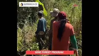 SUPREME ELITE RESOURCES INC. NAGSAGAWA NG TREE PLANTING ACTIVITY.