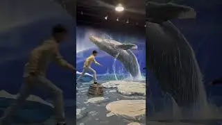 Artvo