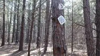 4K ASMR Relaxing Walk | Lake Whelchel Overmountain Victory Trail | Gaffney, SC