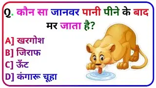 Gk Question || Gk In Hindi || Quiz Gyaan || Gk Questions and Answers || Daily Gk Quiz #207