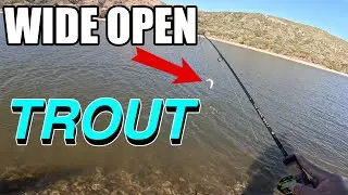 WIDE OPEN SoCal Trout Fishing [Silverwood Lake]