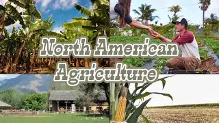 North American Agriculture