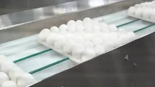CPS - Control & Power Systems - Tray Conveying Loader