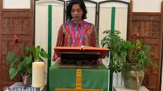 Children's Gospel Reflection (Oct  11th)