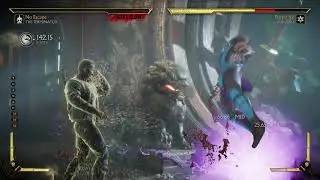 Terminator (Final Judgement) Combo