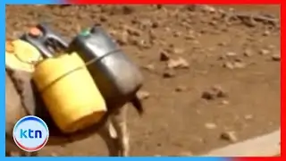 Drought in Meru forces students out of school amid food scarcity