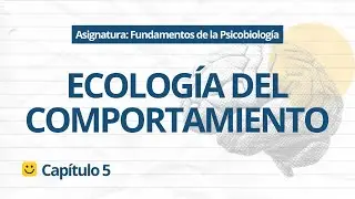 🧠 ¿Por qué ayudamos a otros? La lógica 
