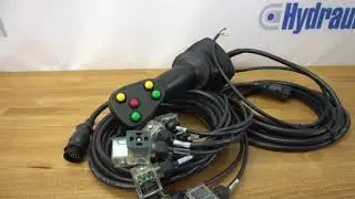 4 postion joystick with  buttons for 4 spool valve 12/24 V on/off DIN plugs complete wires kit