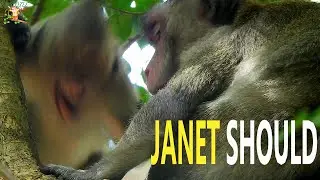 BREAKING NEW JANET SHOULD SUPER ANGRY MOM JANE , JANE BITE TILL JANET SHOULD GO & BACK FOR MILK |