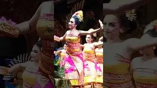 Tari Gabor Saba Balinese Dance PKB 2023 #bali #indonesia #taksubali #taribali #dancers #culture