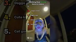Ranking Best Animal Sora AI Videos #shorts