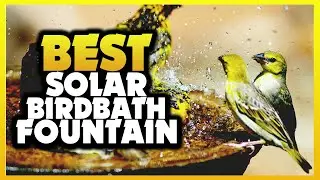 ✅ Best Solar Birdbath Fountains [Avoid Mistakes To Save $100]
