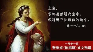 常年期第二週星期三 聖雅妮貞女殉道紀念 彌撒直播