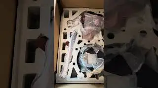Sylvanas Windrunner Real Life Size Bust - Infinity Studios - Unboxing Part 2