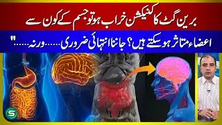 Brain-Gut Connection Damage: Which Organs Are at Risk? | Dr. Tanveer Arshad Chaudhary