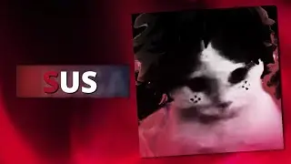 DIGGOCAT &Eacute; MUITO SUS