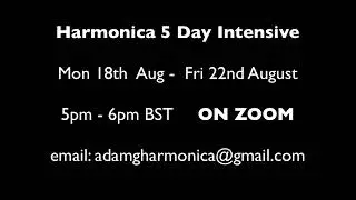 Harmonica Course with Adam Glasser August 2025