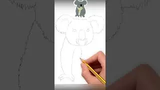 Draw a Koala Bear