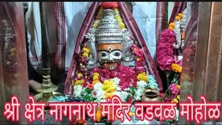श्री क्षेत्र नागनाथ मंदिर वडवळ मोहोळ सोलापूर Shri Kshetra Nagnath Temple Vadwal Mohol solapur