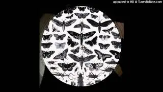 Bodhi - Imperfection (James Welsh Remix)