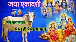 29 जनवरी 2026 गाय माता को खिला देना 1 चीज तिजोरी 7 दिनो में भरजाएगी किस्मत खुल जाएगी.vastu upay 2026