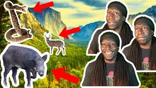 Most dangerous animals in USA reaction!!!!