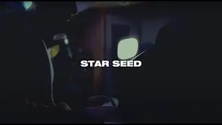 STAR SEED & Meggie York - All I'd Ever Need [Live] | Ophelia Records
