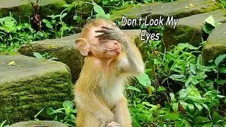 Don't See My Eye! Baby Candy Take Her Hand To Hide Her Both Eyes Cause Shy