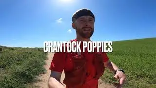 Trail Run and Walk - Crantock Poppy Fields