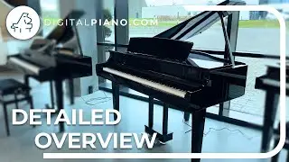 🎹 Yamaha CLP-865GP — подробный обзор | Digitalpiano.com
