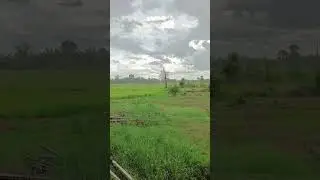 Rain #howto #rain