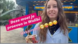 Walibi Holland is zó leuk | attractiepark | Familieuitjes | Daguitstap | Family vlog