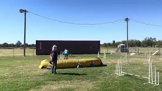 Little brother Poncho proving he can run with the Big Dogs! 0:34.09s 0 fault