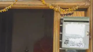 पावजी दादा दर्शन krishna &rani