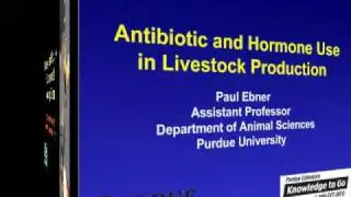 Basics of antibiotics and hormones in animal production.mp4
