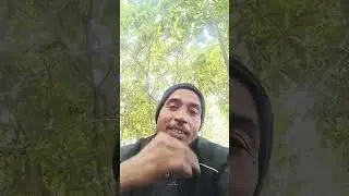 20 दिसंबर 2025