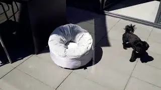 HUNTER Dog bed MIRANDA